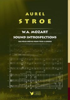 W.A. Mozart Sound Introspections (1994)